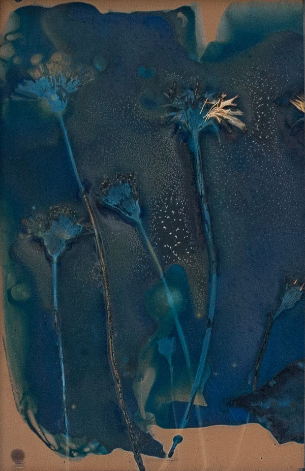 Aindreas Scholz, The Most Beautiful Anthropocene #, 2023