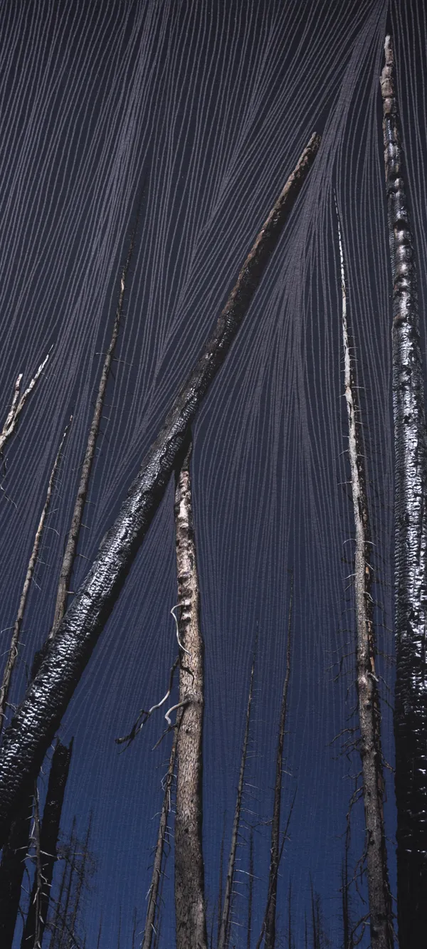 Morvarid K, Standing Still 10-3, 2026