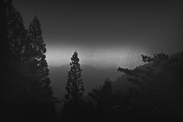 Margaret Lansink, Song, 2017