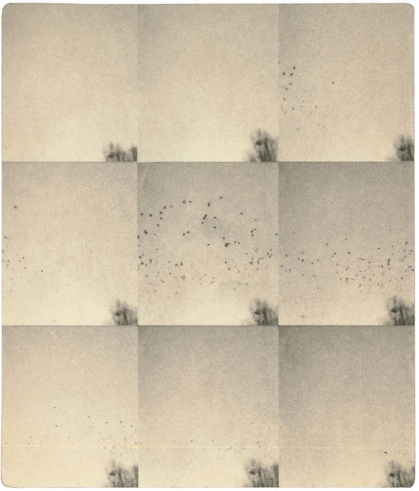 Miho Kajioka, #0096, 2023