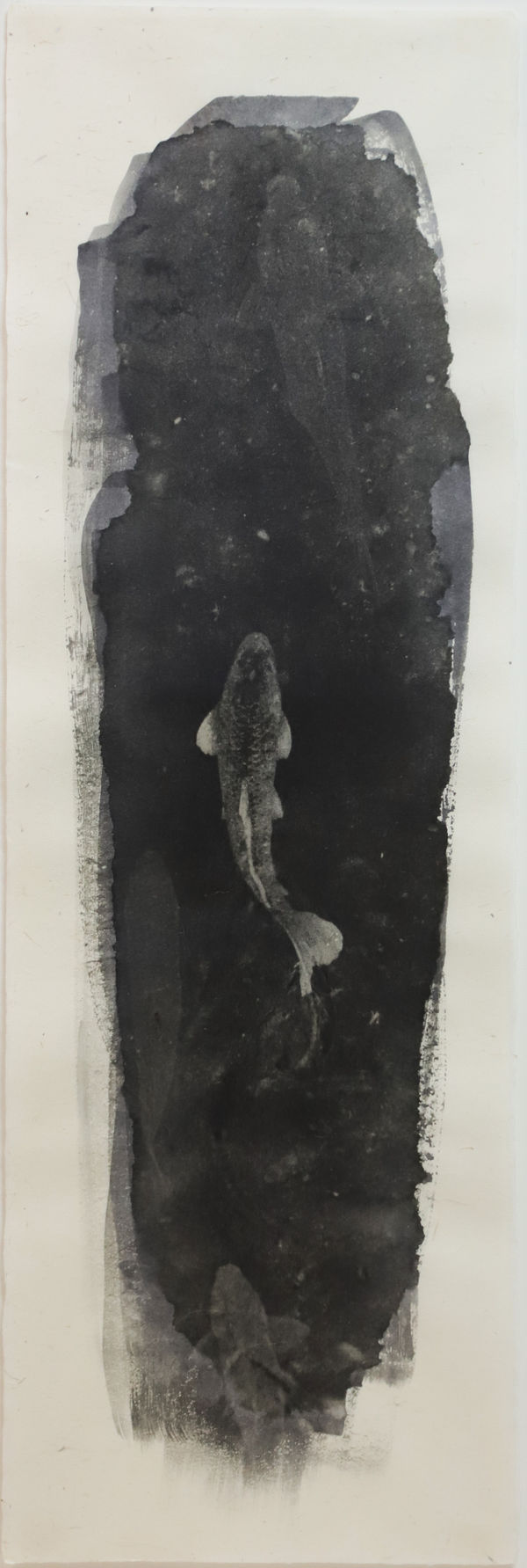 Naohiro Ninomiya, Nokomi-8, 2016