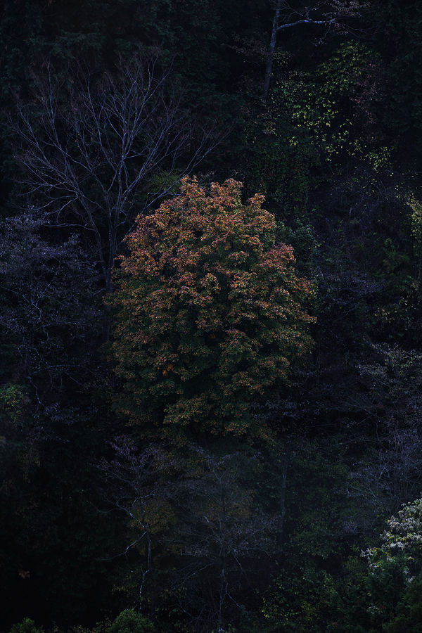 Shimpei Yamagami, Epiphany 26, 2018-2021