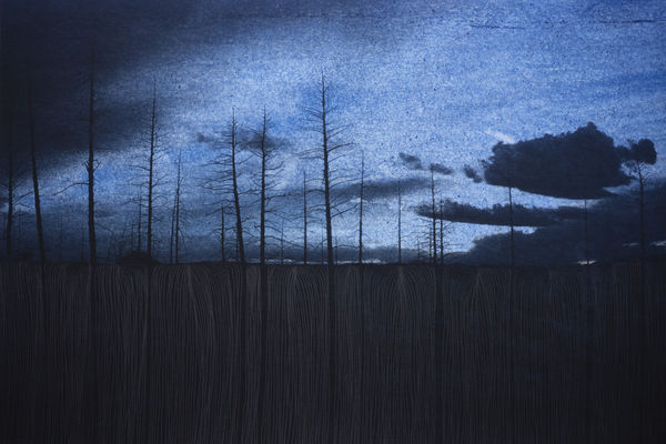 Morvarid K, Standing Still 5-1, 2026