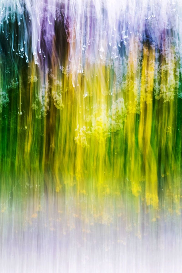 Yoshinori Mizutani, Sakura 018, 2015