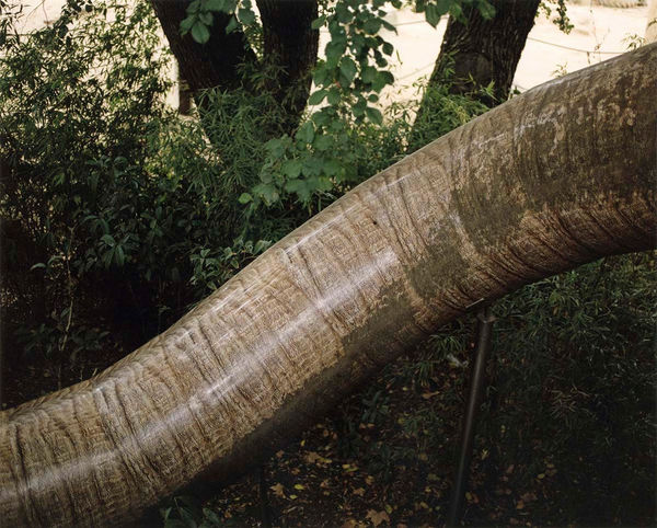 Yoko Ikeda, 1436-06 Antwerp, Belgium, 2016