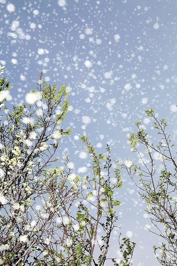 Yoshinori Mizutani, Yusurika 005, 2015