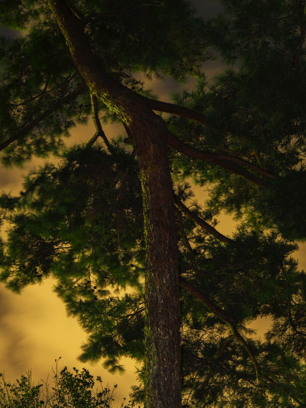 Yoshinori Mizutani, Moonlight 12, 2014