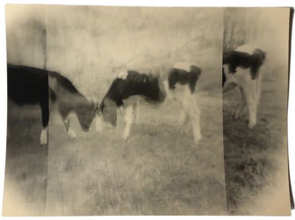 Miho Kajioka, BK0140, 2015