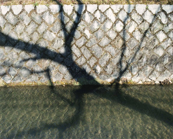 Yoko Ikeda, 1006-03 Kyoto City, Kyoto Prefecture, 2013