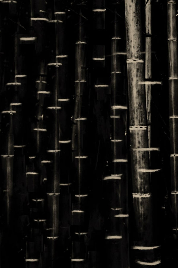 Paul Cupido, Mumu, 2016