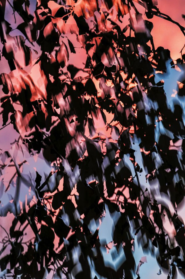 Yoshinori Mizutani, HDR_Nature 014, 2016-2018