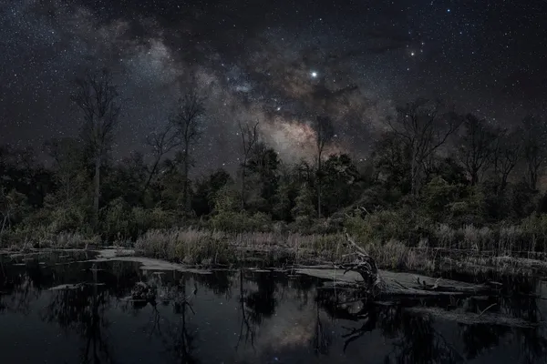 Thierry Cohen, Carbon Catchers no. 19