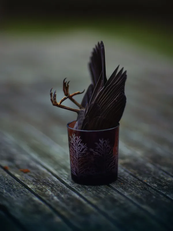 Christopher Thomas, Bittersweet 69, 2008