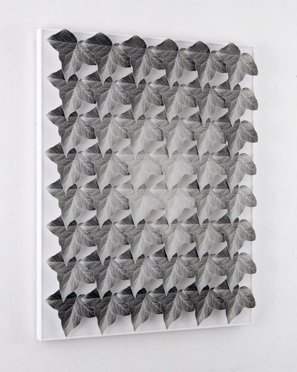 Norio Takasugi, Efeu 15-4G, 2017