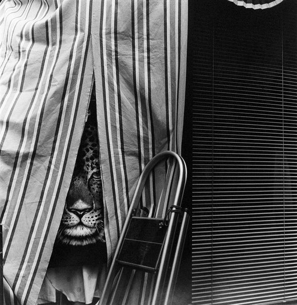 Asako Narahashi, Untitled, from Nu-e (leopard), 1994