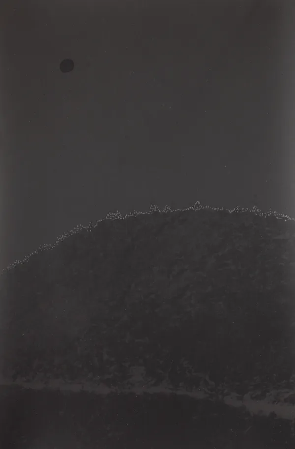 Marco Tagliafico, Luminous beings, 2019