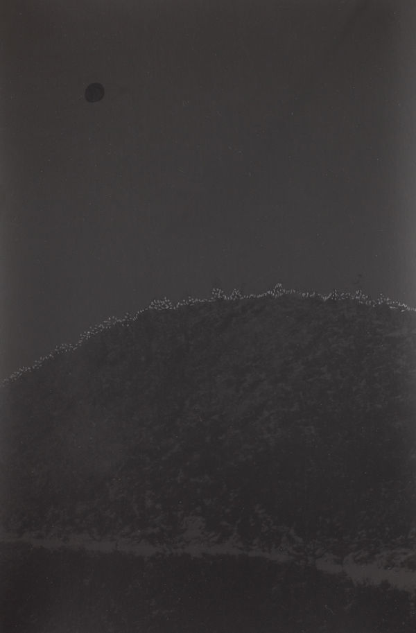 Marco Tagliafico, Luminous beings, 2019