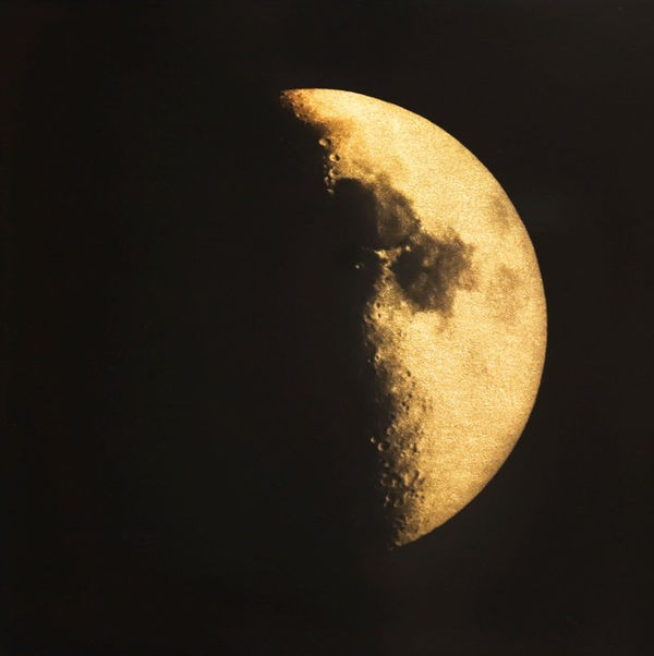 Naohiro Ninomiya, Glanage-23 , 2019