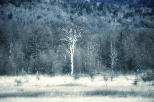 Yukari Chikura, Untitled, from Fluorite Fantasia, 2015