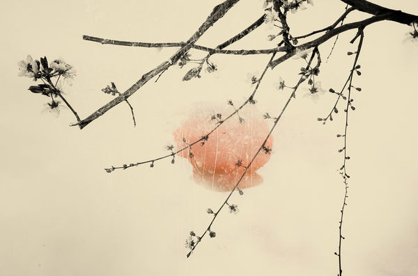 Paul Cupido, Kumo (Cloud) II, 2019