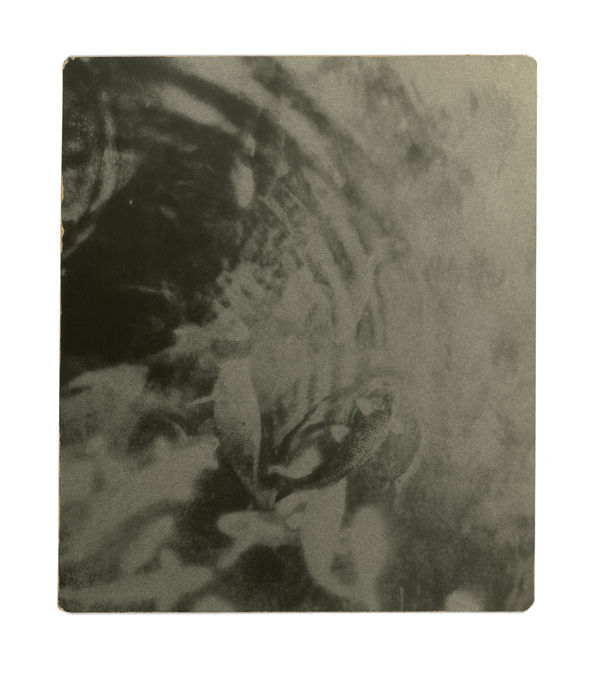 Miho Kajioka, #0072, 2020