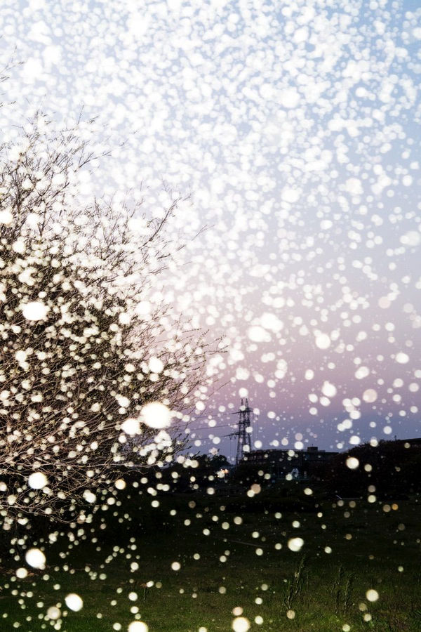 Yoshinori Mizutani, Yusurika 034, 2015