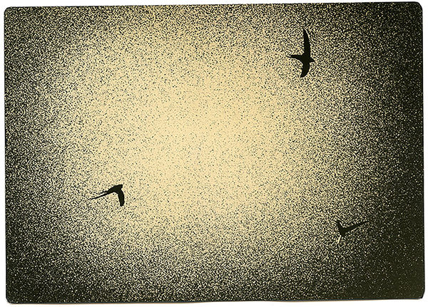 Miho Kajioka, BK0489, 2019