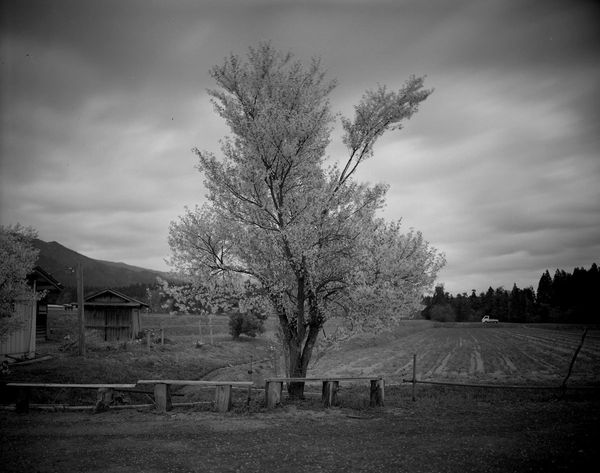 Keiichi Ito, Okitama Yamagata-ken, 2012