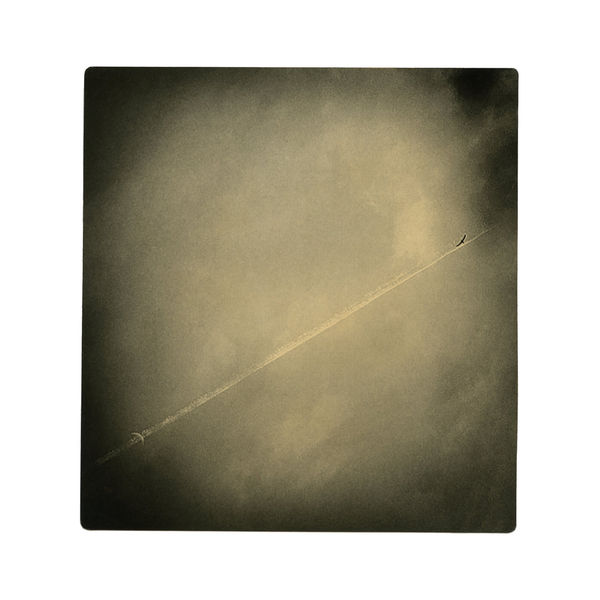 Miho Kajioka, #0042, 2022