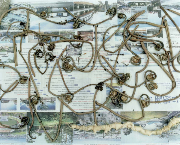 Yoko Ikeda, 1629-10 Okura Village, Yamagata Prefecture, 2018