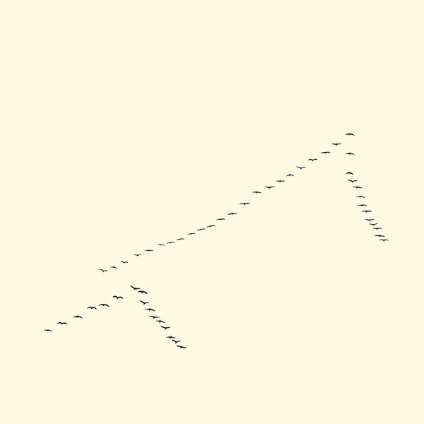 François Laxalt, Cinquante Un / Fifty One, 2015