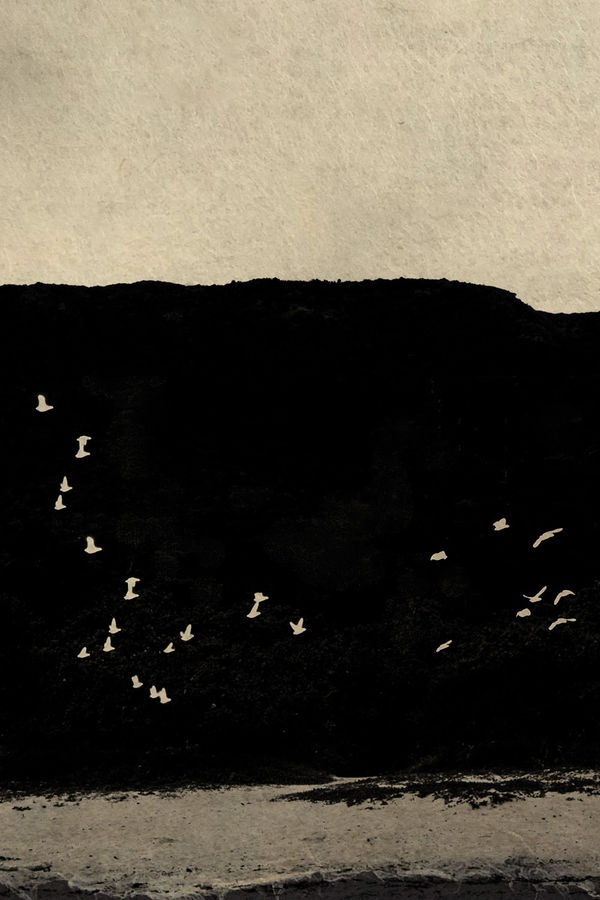 Paul Cupido, Matsushima Day 2, 2019