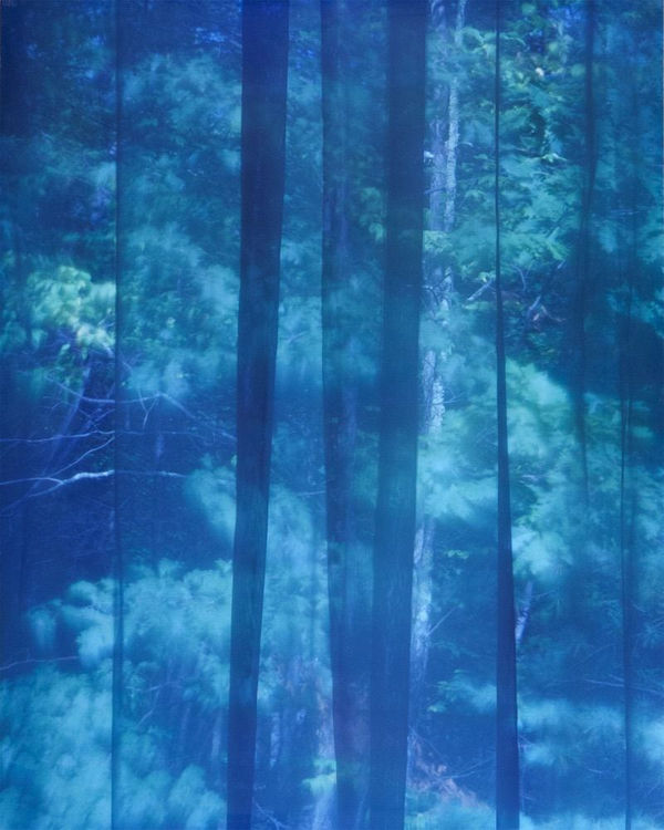 Motohiro Takeda, Untitled from Blink/Matataki, 2015