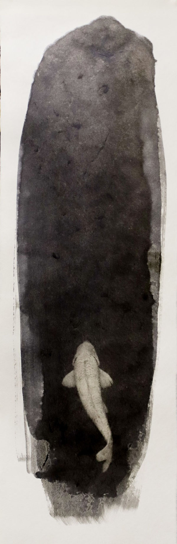 Naohiro Ninomiya, Nokomi-1, 2016