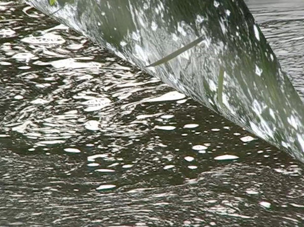 Madelon Hooykaas, Turning page, from 'Haiku, the art of the present moment', 2007/2023