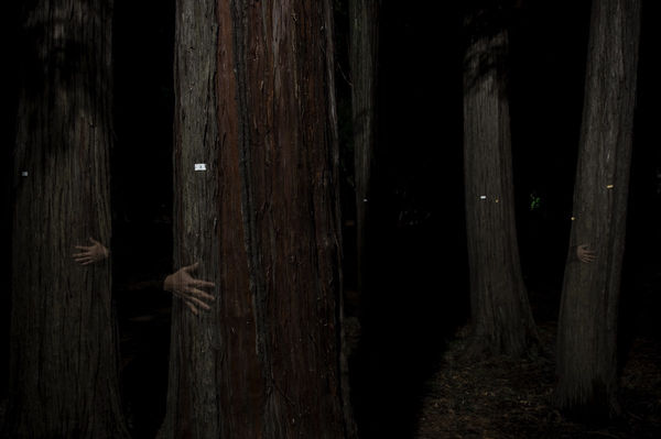 Toru Ukai, Invisible Machinery 82, 2014