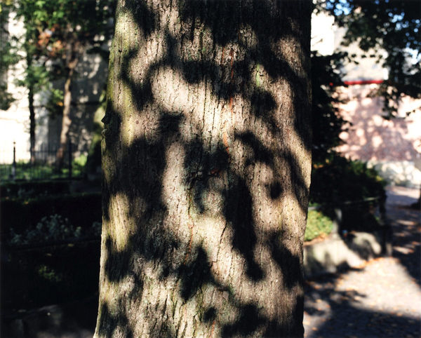 Yoko Ikeda, 1107-07 Kortrijk, Belgium, 2013