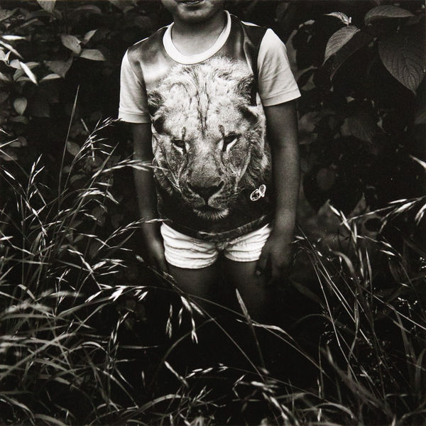 Issei Suda, Ayame matsuri, Mizumoto-Park, Katsushika, Tokyo, from Fushi Kaden, 1976