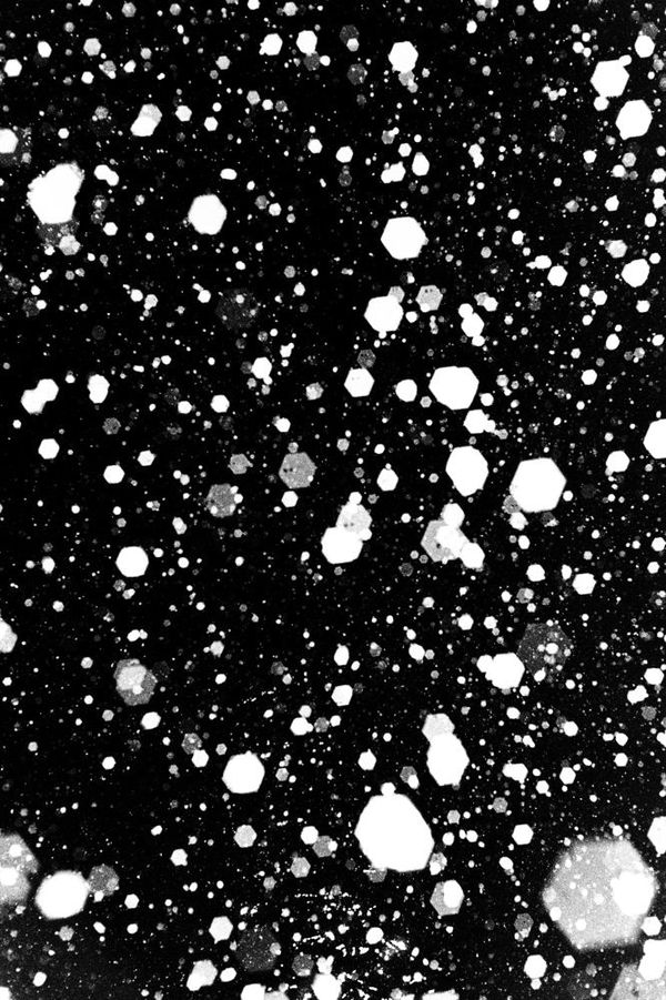 Munemasa Takahashi, Laying Stones 019, 2014