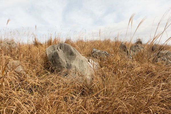 Ilse Leenders, Rock, 2017