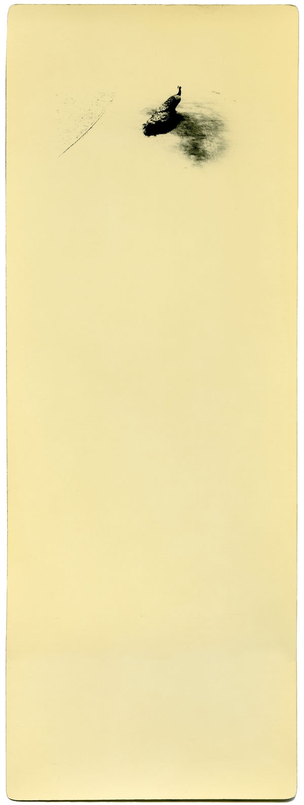 Miho Kajioka, BK0171, 2017