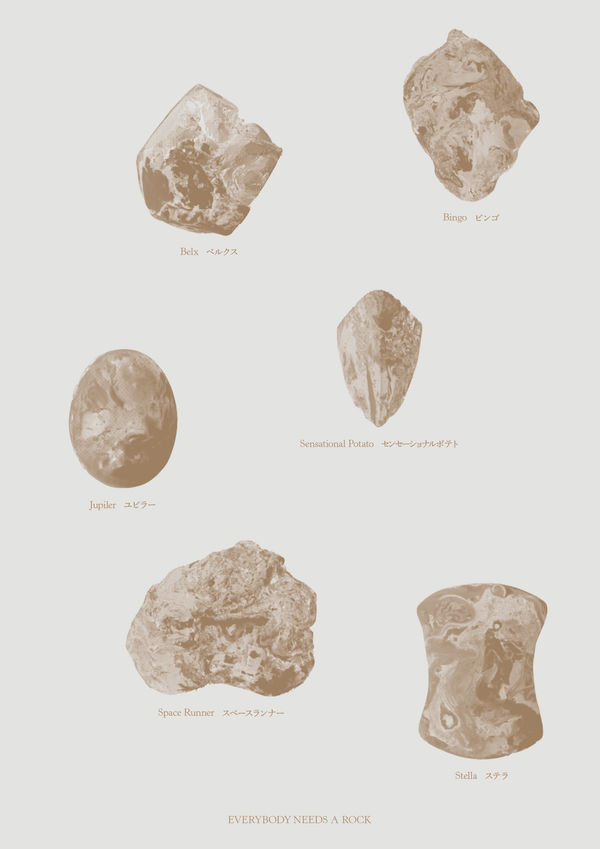 Sae Honda, Everybody needs a rock