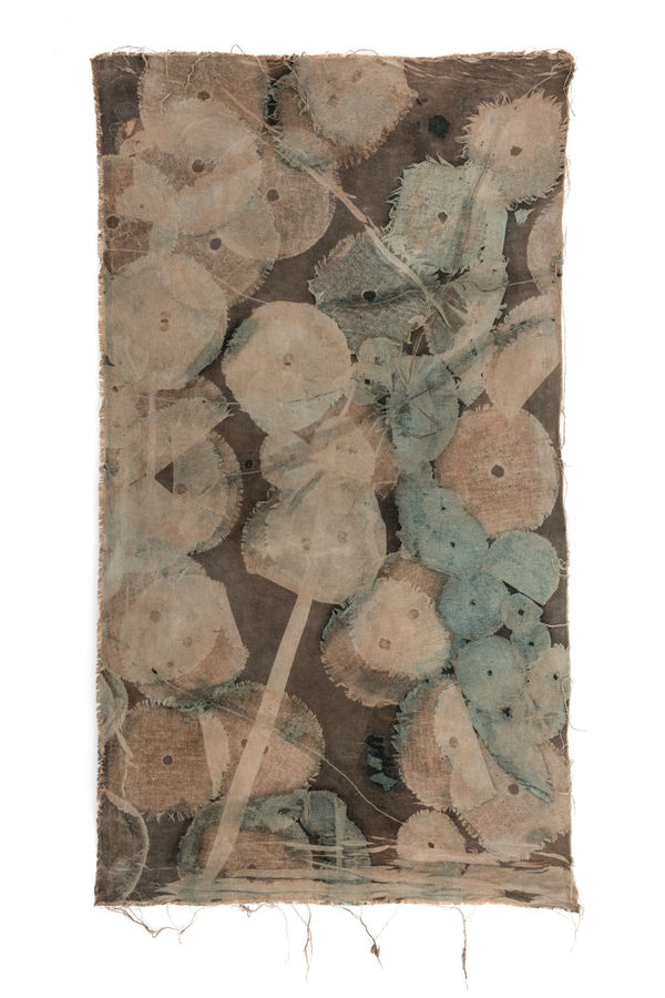 Sayako Sugawara, Flows 2, 2022