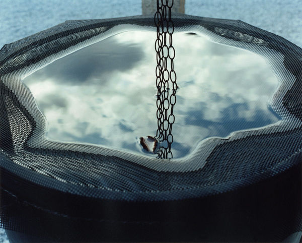 Yoko Ikeda, 1245-04 Kurashiki City, Okayama Prefecture, 2014