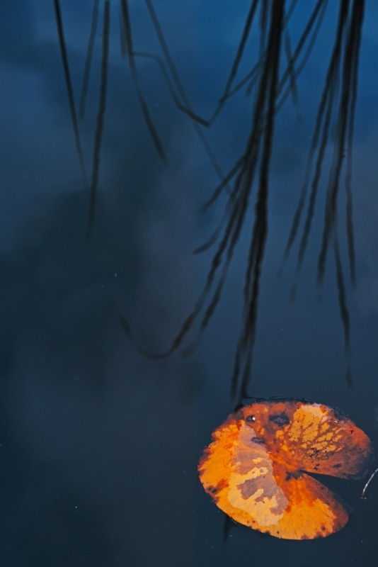 Sudi, Untitled 44, 2023