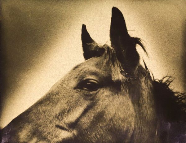 Naohiro Ninomiya, Glanage-2, 2019