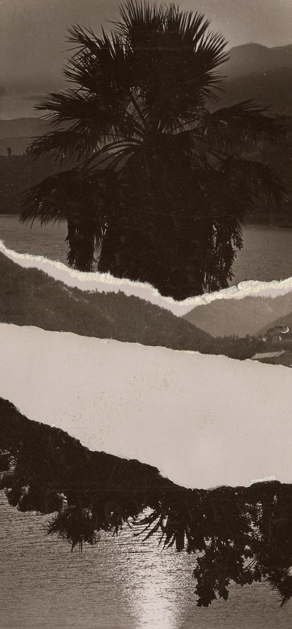 Gert Motmans, DAY 34, 2022