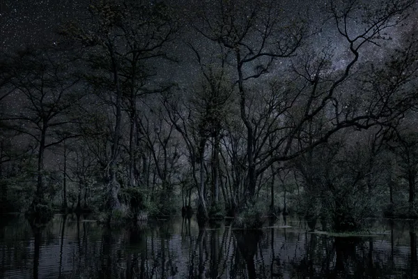 Thierry Cohen, Carbon Catchers no. 18