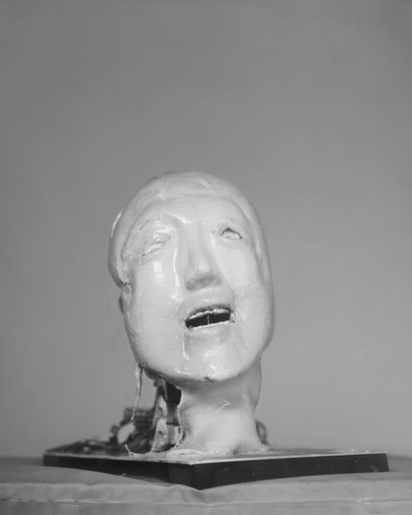 Wanda Tuerlinckx, Kansei 2, Meiji University's Robot & Science institute, Kawasaki, Japan, 2017