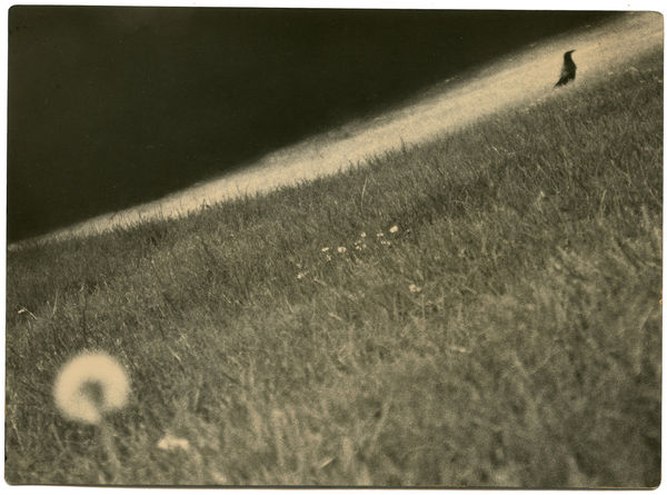 Miho Kajioka, BK0464, 2019